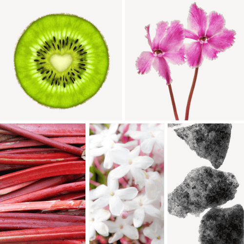 Preview: Duftnoten: Kiwi, Alpenveilchen, Rhabarber,  Jasmin, Moschus